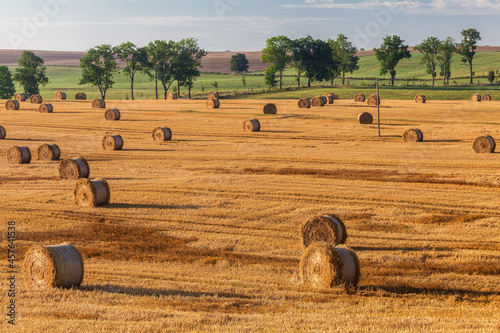 Fototapeta Naklejka Na Ścianę i Meble -  View of the Masurian fields.