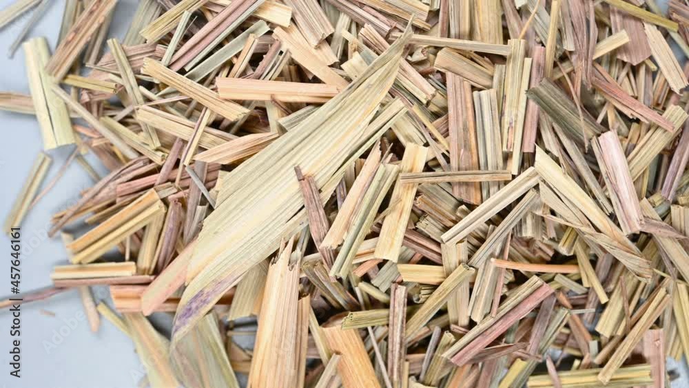 top pan herb XiangMao or Cymbopogon citratus Stapf or Lemongrass Herb