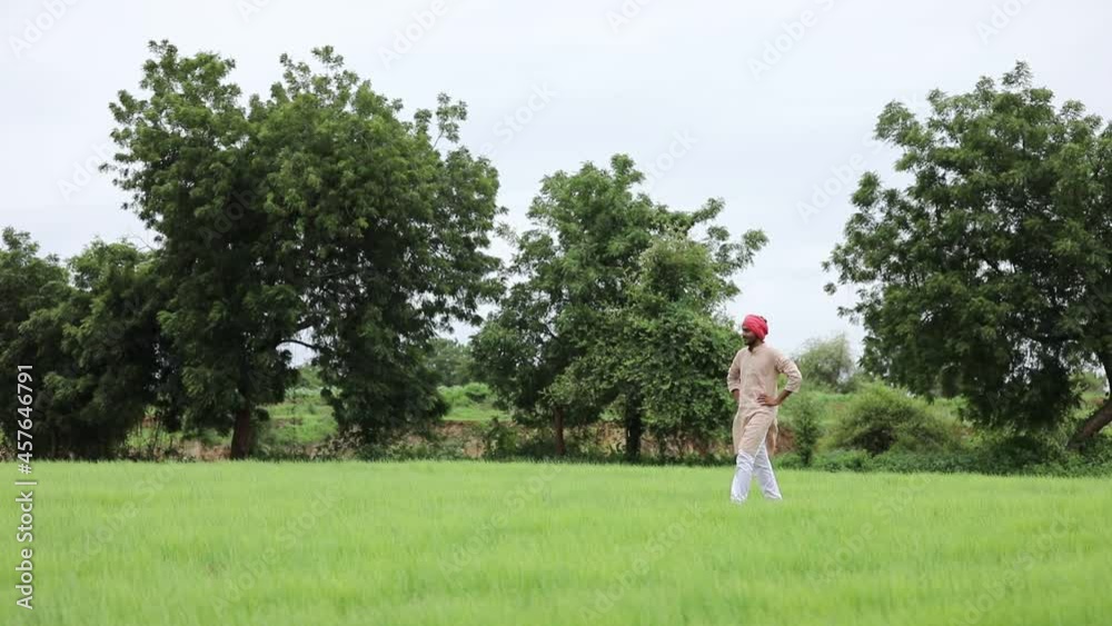 indian farmer at green onion agriculture field. indian farmer at green onion agriculture field.