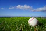 さわやかな青空と天然芝に置かれた野球ボール