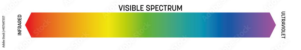 Visible spectrum of light. Electromagnetic spectrum visible by human eye. Simple schematic banner with rainbow gradient effect. Vector illustration - obrazy, fototapety, plakaty 