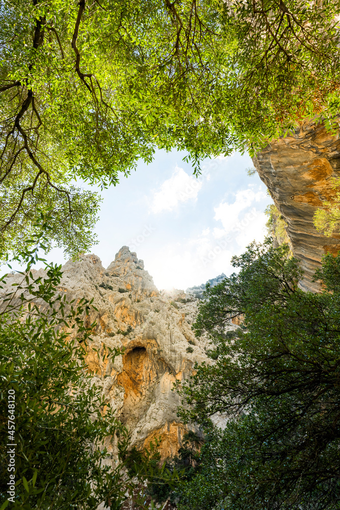 (Selective focus) Stunning view of the Gorropu gorge framed by a green vegetation. Gorropu is the deepest canyon in Europe located in the Supramonte area, Sardinia, Italy. (Selective focus) Stunning view of the Gorropu gorge framed by a green vegetation. Gorropu is the deepest canyon in Europe located in the Supramonte area, Sardinia, Italy.