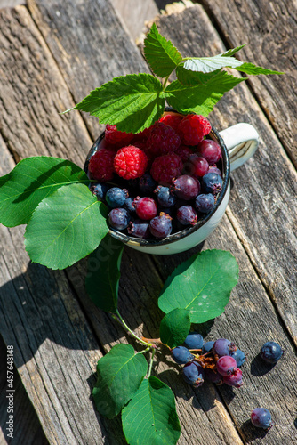 beautiful berries of raspberry and irgi in a cup. High quality photo photo