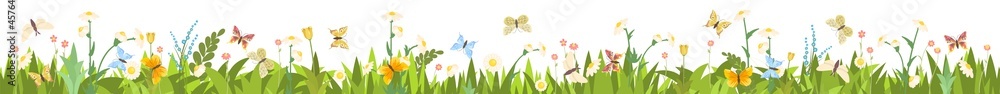 Meadow with wildflowers and butterflies. Seamless illustration. Grass close-up. Green summer landscape. Cartoon style. Flat design. Flowers. Isolated on white background. Vector art Meadow with wildflowers and butterflies. Seamless illustration. Grass close-up. Green summer landscape. Cartoon style. Flat design. Flowers. Isolated on white background. Vector art