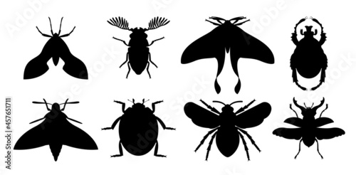 Insect Icon Flat Isolated Black Silhouette vector. © lumyaisweet