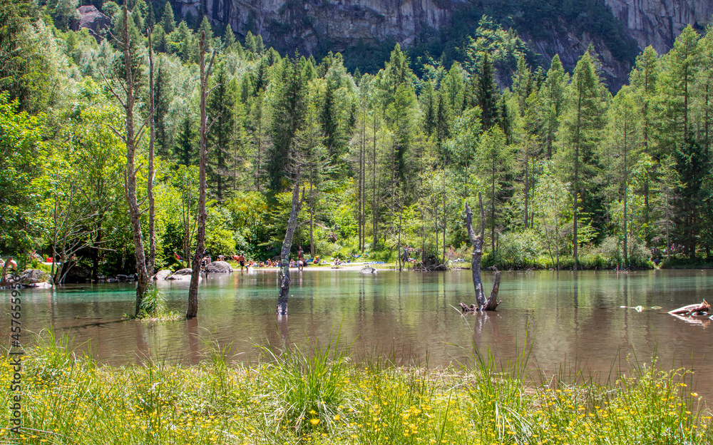 Naklejka premium Valtellina, mountain area of Italy, Val di Mello