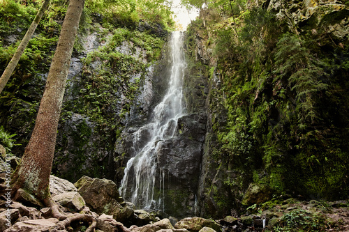 Burgbach Waterfall in coniferous forest falls over granite rocks into the valley near Bad Rippoldsau-Schapbach, Black Forest, Germany.