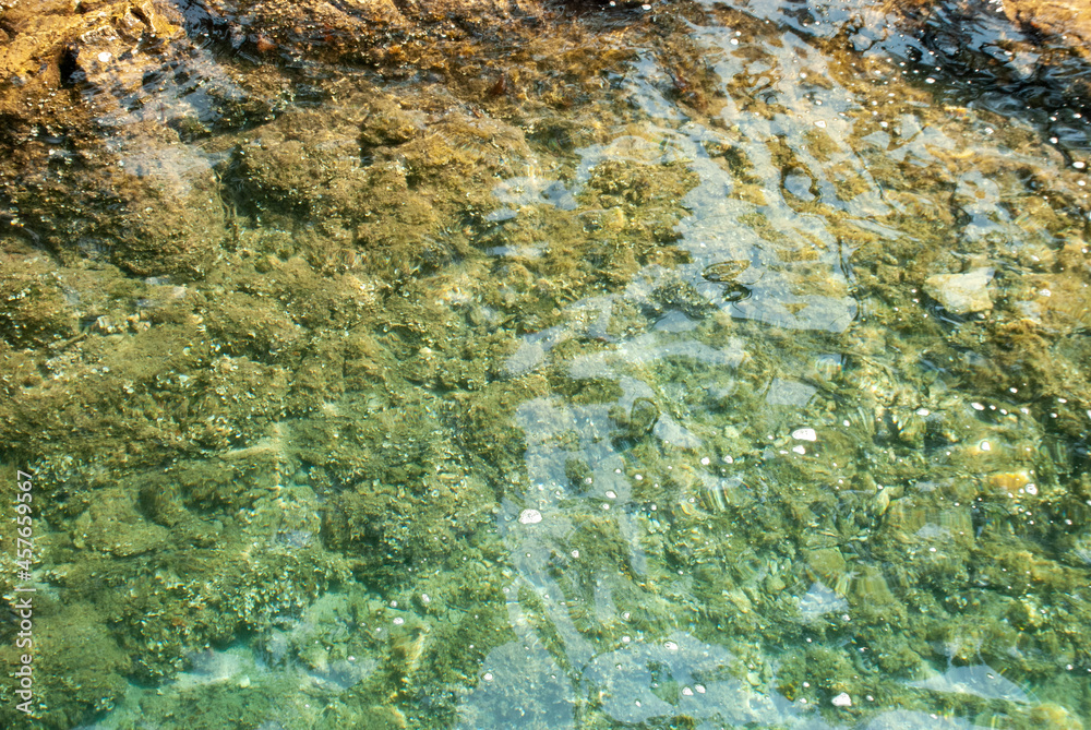 moss on stone moss on stone