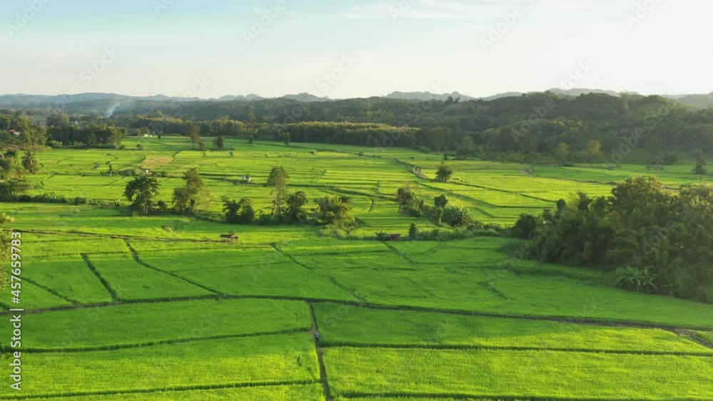 An aerial view of large agricultural areas, rice fields with streams running through it. Agricultural way of life in rural areas in northern Thailand, Nan province. An aerial view of large agricultural areas, rice fields with streams running through it. Agricultural way of life in rural areas in northern Thailand, Nan province.