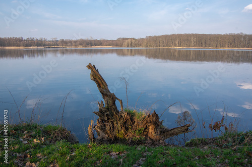 Winter natural scenery with breeding pond and trees near Neratov in Czech republic, reflections in the water, blue sky photo