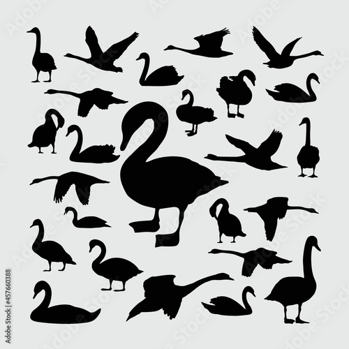 Swan Silhouette. A set of Swan silhouettes
