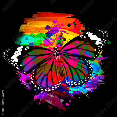 Canvas Print butterfly on black background