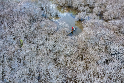 Aerial view of Ru Cha mangroves, Hue, Vietnam