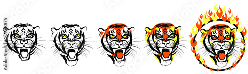 Tiger Face set. Tiger head through Flaming Hoop. Predator jump through ring of fire. Sketch. Vector illustration.