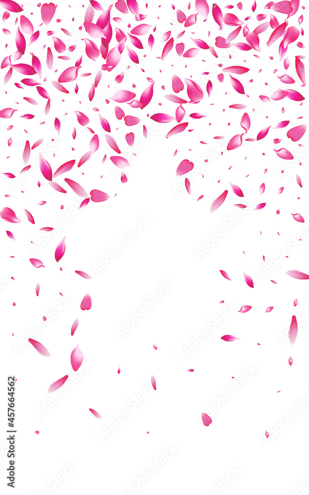 Purple Cherry Petal Vector White Background. Pink Purple Cherry Petal Vector White Background. Pink