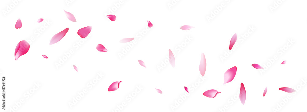 Pastel Rose Petal Vector White Background. Purple