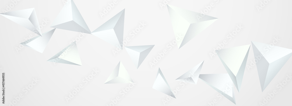 Transparent Triangle Dynamic Vector Panoramic Transparent Triangle Dynamic Vector Panoramic