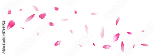 Pastel Rose Petal Vector White Background. Purple