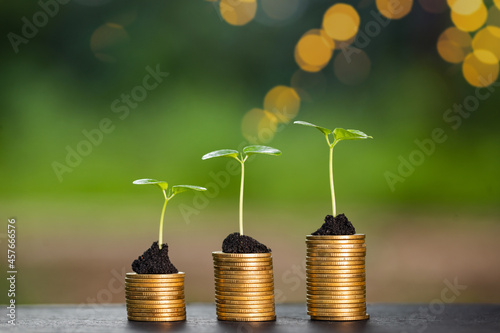 A small tree grows on a pile of coins with a rising appearance. including fertile soil on a blurred background nature bokeh business concept and environment