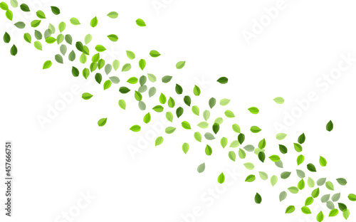 Green Leaves Tree Vector Pattern. Swirl Leaf