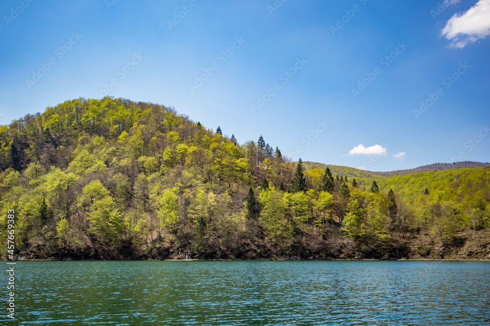 Spring view of sunny day at the lake with green mixed forest, Croatia