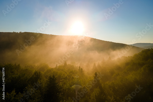 Aerial view of bright foggy morning over dark forest trees at warm summer sunrise. Beautiful scenery of wild woodland at dawn.