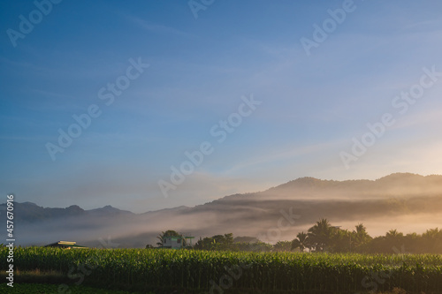 Landscape view of sunrise in the early morning and  sea of mist cover the mountian on the wat phuket temple viewpoint pua District nan.Pua  in the central part of Nan Province  northern Thailand