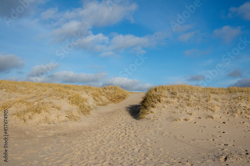 sand dunes at the ocean
