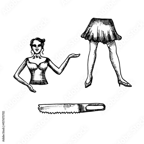 sawn woman without eyes smiles and a saw - vector drawing in the style of engraving. two halves of the body of a circus woman and an old-fashioned saw. halloween circus illustration