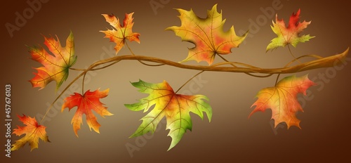 a beautiful banner with an autumn branch and bright maple leaves.