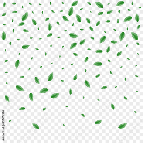 Green Vegetation Background Transparent Vector. Foliage Beauty Design. Modern Card. Greenish Peaceful Illustration. Sheet Growth.