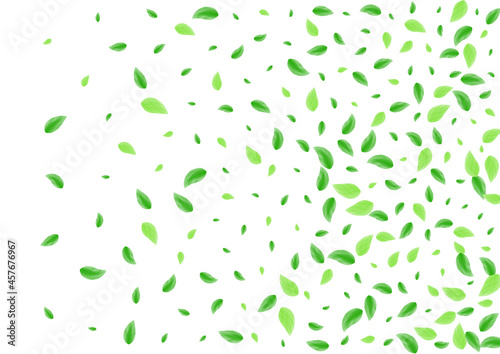 Green Vegetation Background White Vector. Leaves Isolated Illustration. Woods Texture. Greenish Clear Frame. Leaf Life.