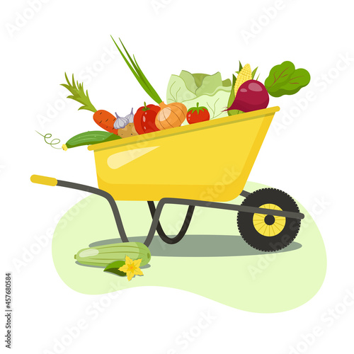 A yellow wheelbarrow with a harvest. Seasonal farm vegetables.