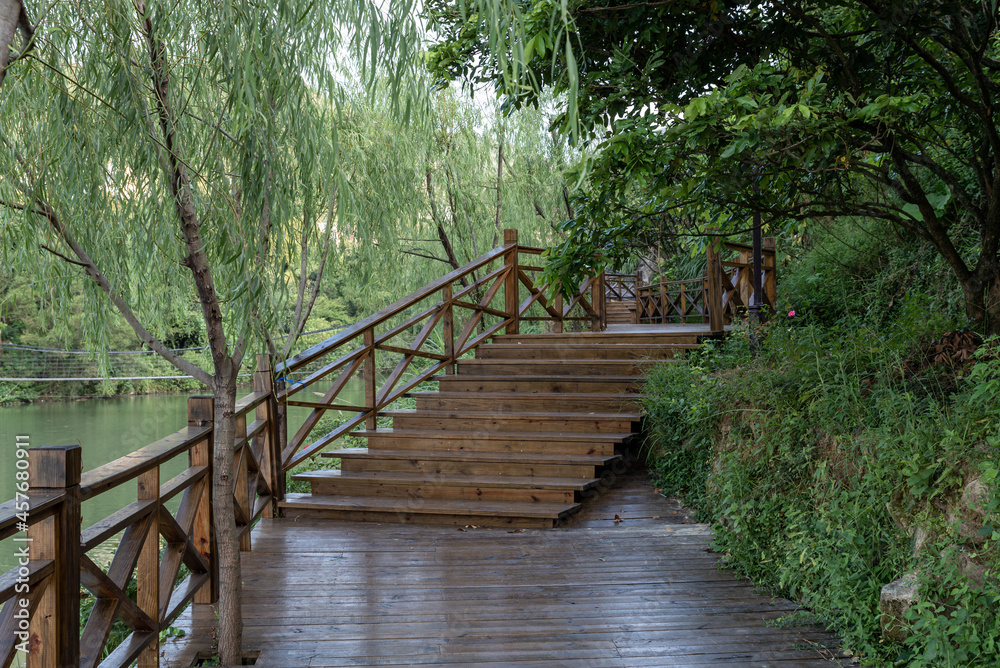 Fototapeta premium The plank road in the country park is lined with green trees