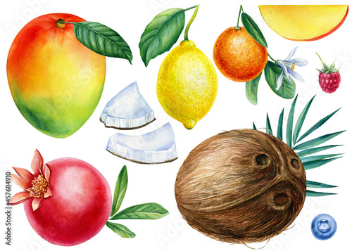 Set of ripe fruits mango, coconut, lemon, orange and pomegranate, watercolor illustration photo