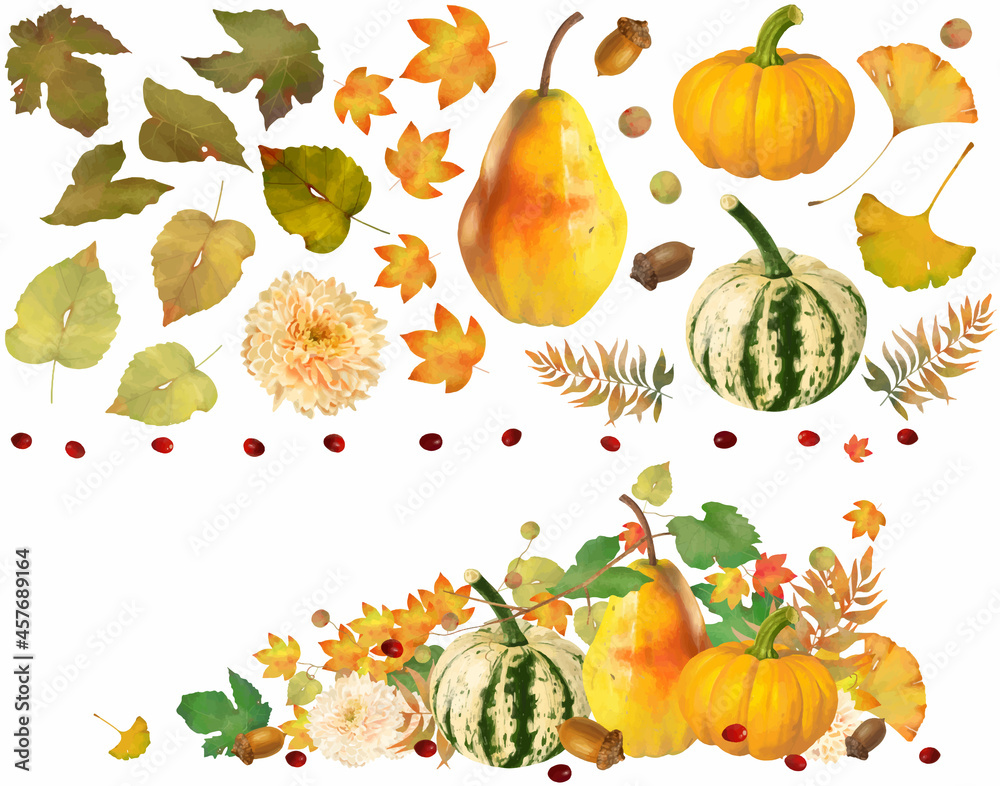 おしゃれなかぼちゃとなしと木の実とどんぐりの秋の植物の美しい白バックフレームとイラストセット素材 Stock Vector Adobe Stock