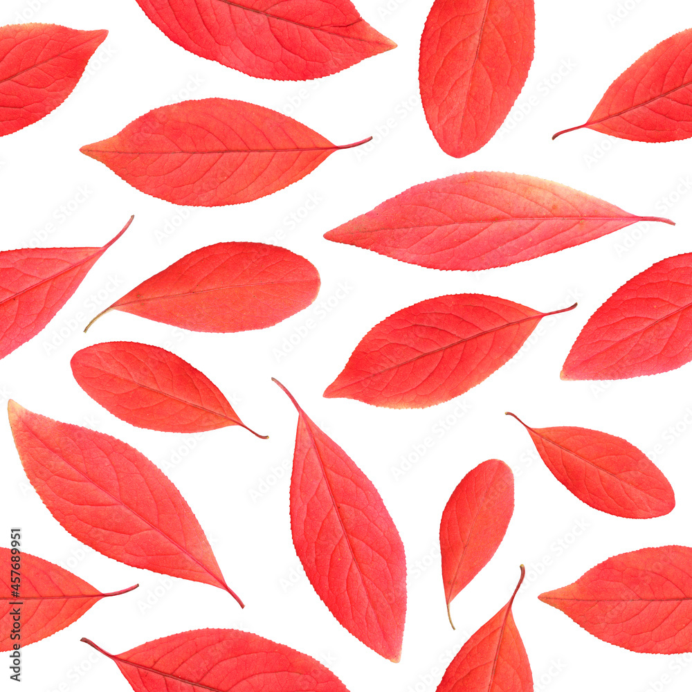 Pattern from an autumn red leaf of a tree. 