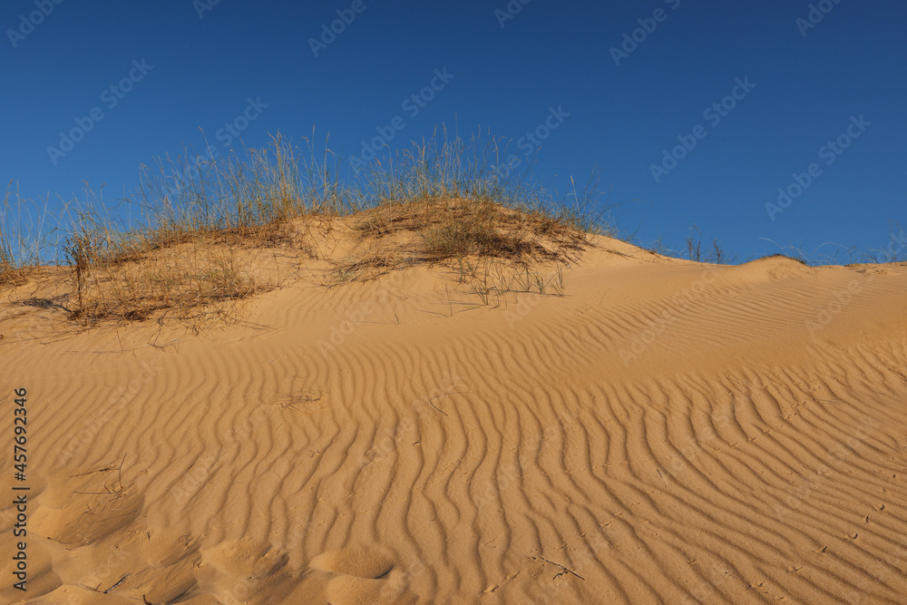 Picturesque view of desert on sunny day