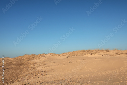 Picturesque view of desert on sunny day