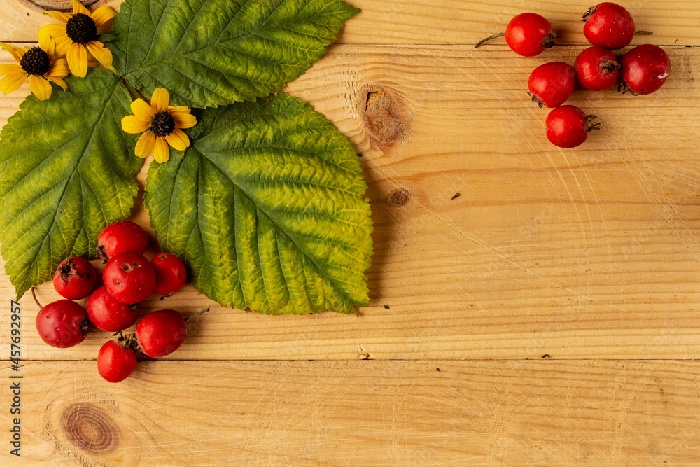 Beautiful photos of red hawthorn berries on a wooden table. Close-up. Beautiful photos of red hawthorn berries on a wooden table. Close-up.