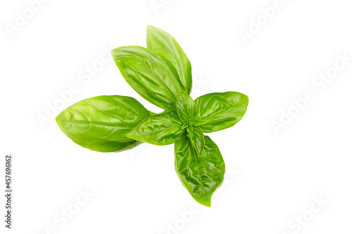 Basil herb leaves isolated on white