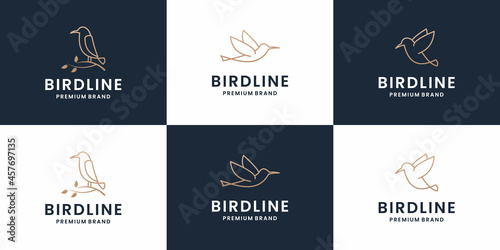 Set of bird logo template with line art style. creative abstract bird logo collection.