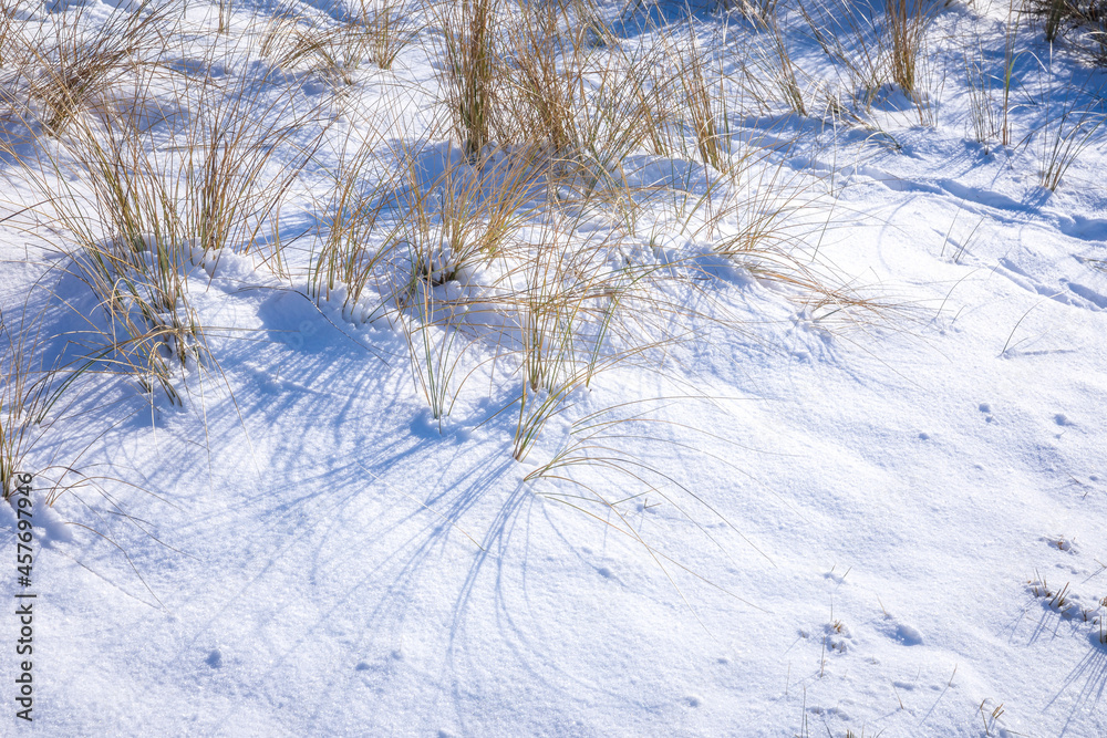 Snowy and ice winter landscape at the Amsterdamse Waterleidingduinen Snowy and ice winter landscape at the Amsterdamse Waterleidingduinen