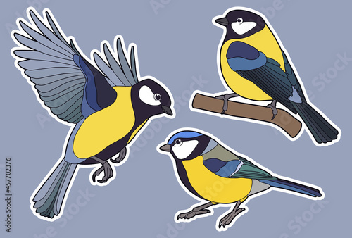 Stickers. Cute winter birds. Tits. Yellow-blue birds. 