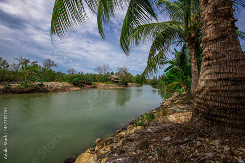 Natural background of coconut trees planted by the river, providing shade and edible fruit.