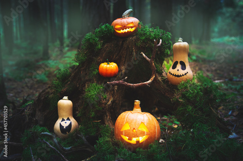 Family of pumpkins jack lantern in the autumn mystical forest. photo