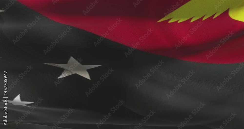 Papua New Guinea national flag footage. Papua New Guinea waving country flag on wind
