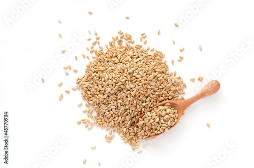 Dry organic wheat seed pile on white background with some seed in wooden spoon. For healthy or carbohydrate food ingredient concept
