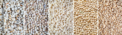 Collection of organic cereal and grain seed stripe consisted of job's tear, millet, pearl barley, soybean, and wheat