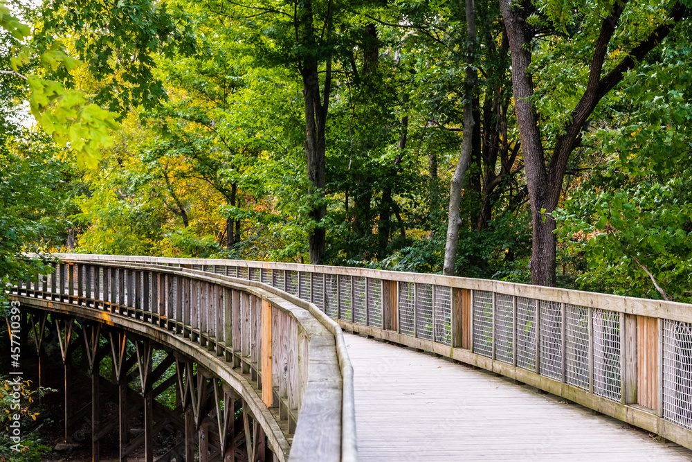 wooden bridge in the park in late summer